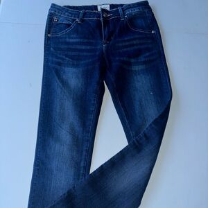 Hudson Skinny Blue 16 Kids Jeans